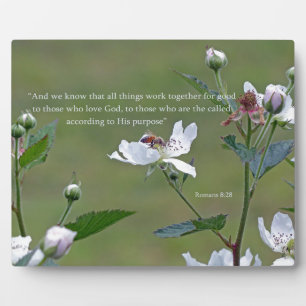 Römer 8:28 fotoplatte