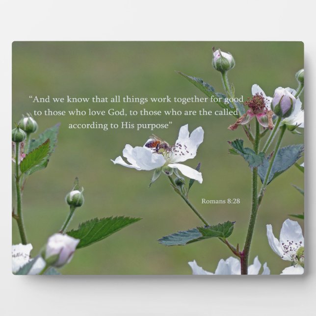 Römer 8:28 fotoplatte (Vorderseite)