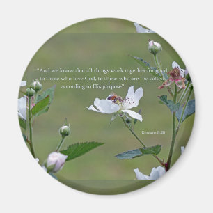 Römer 8:28 magnet