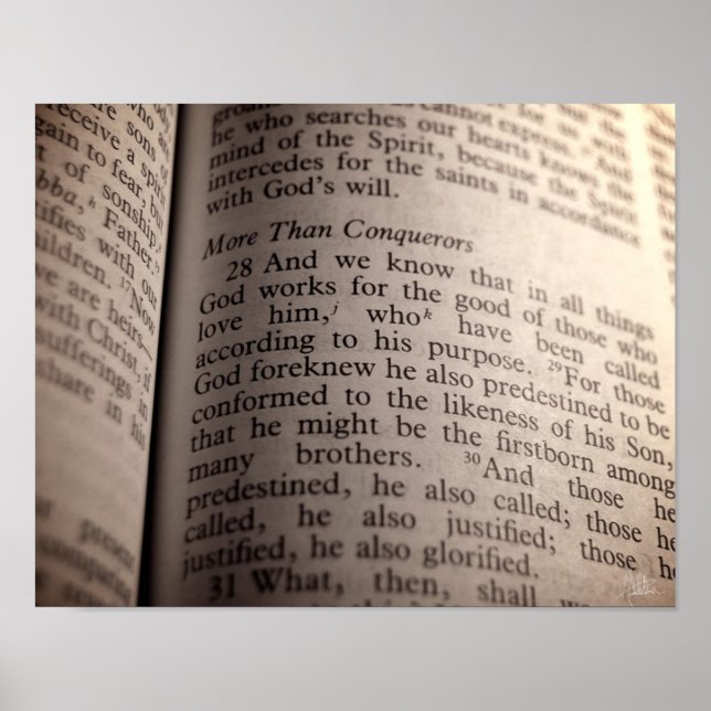 Römer 8:28 [Print] Poster (Vorne)