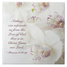Römer 8:39 Liebe der Gottsbibel Weiße Orchideen