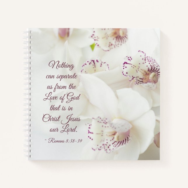 Römer 8:39 Liebe der Gottsbibel Weiße Orchideen Notizbuch (Vorderseite)