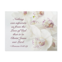 Römer 8:39 Liebe der Gottsbibel Weiße Orchideen