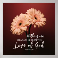 Römer 8 39 Liebe des Verses Gottes Rosa Braun