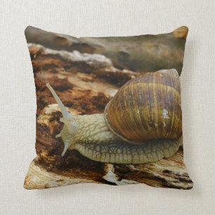 Römischer essbare Schnecke-Helix Pomatia Kissen