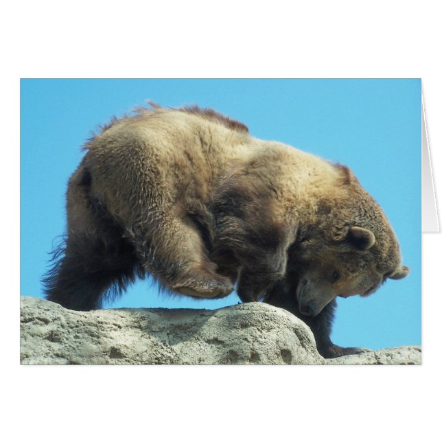 romping auf den Felsen (Vorderseite (Horizontal))