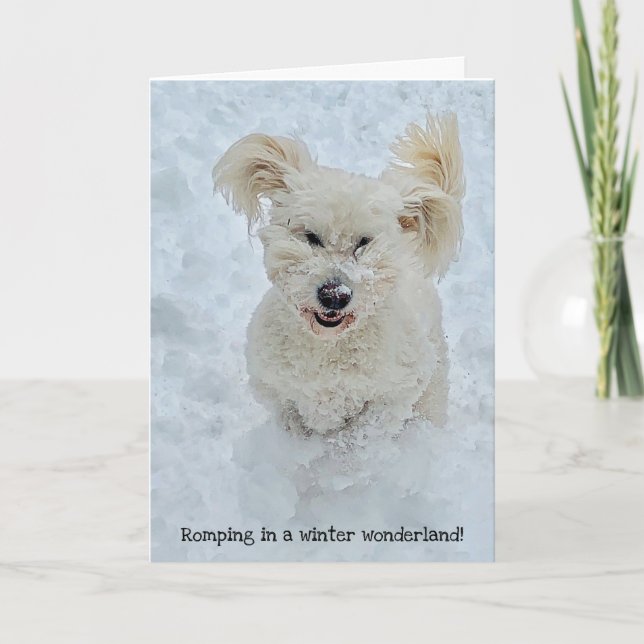 Romping Dog in einem Winterwunderland Urlaub Karte (Vorderseite)