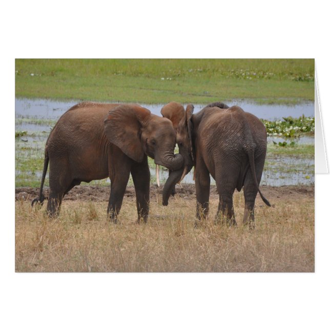 Romping herum (Vorderseite (Horizontal))