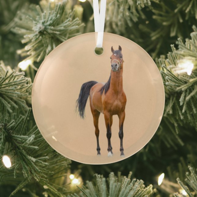 Ron Hevener Ornament Aus Glas (InSitu)