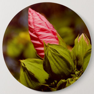 Rond 15,2 Cm Badge photo rose