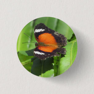 Rond 2,50 Cm Badge de papillon tropical