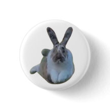 Badge Paddy