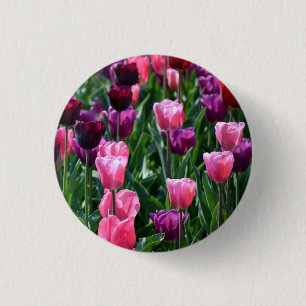 Rond 2,50 Cm Bouton Tulipes rose et violet / Badge