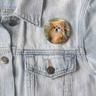 Rond 5 Cm Badge Chihuahua Photo Fashion Pin