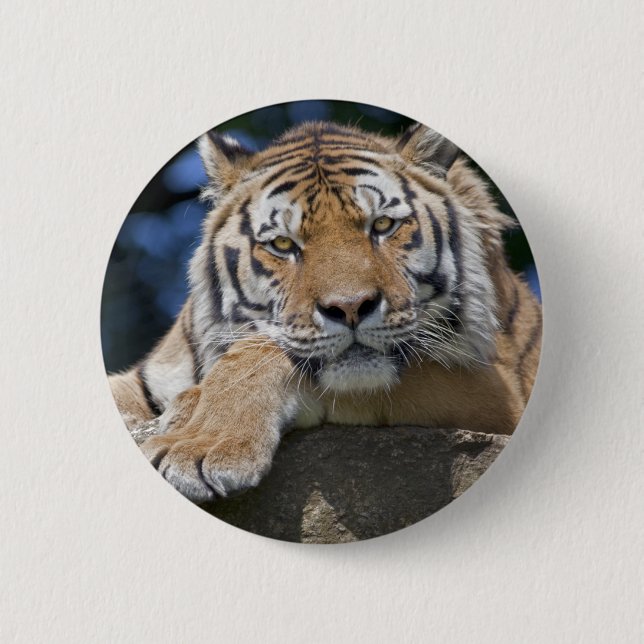 Rond 5 Cm Badge Chillin' (Devant)
