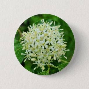 Rond 5 Cm Badge Cornus sanguinea