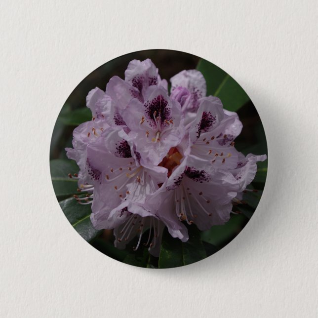 Rond 5 Cm Badge de fleurs Rhododendron (Devant)