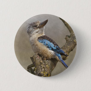 Rond 5 Cm Badge de Kookaburra