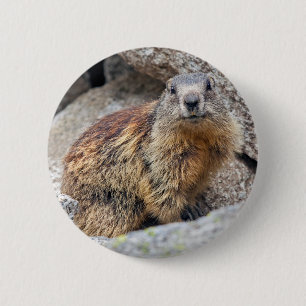 Rond 5 Cm Badge de Marmot alpine