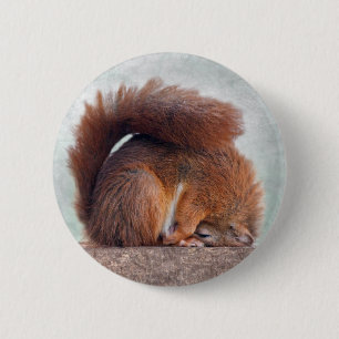 Rond 5 Cm Badge d'écureuil de Yoga