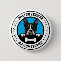 Badge d'illustration de Boston Terrier Peeking