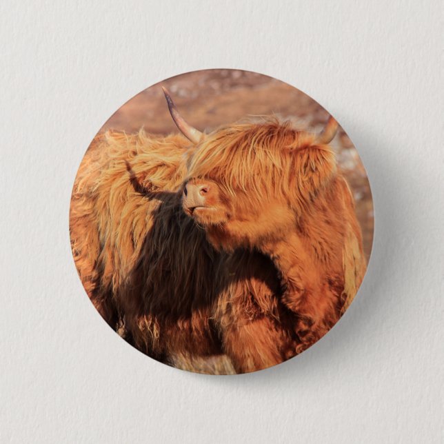 Rond 5 Cm Badge du bouton de la vache de Highland (Devant)