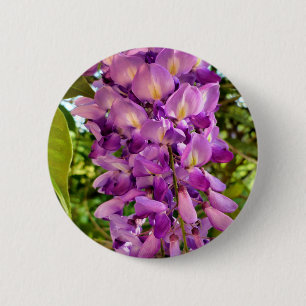 Rond 5 Cm Badge en fleur de Wisteria