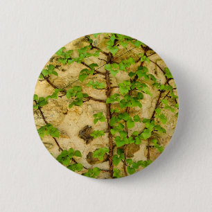 Rond 5 Cm Badge Hydrangea petiolaris