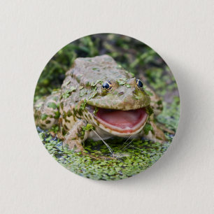 Rond 5 Cm Badge Prince Grenouille