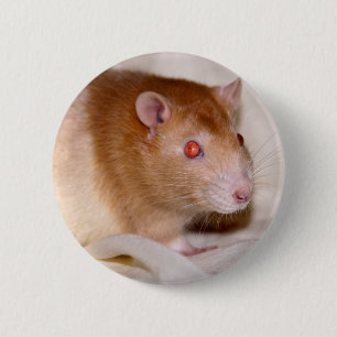 Rond 5 Cm Badge Rolando
