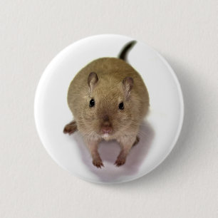 Rond 5 Cm Gerbil Badge