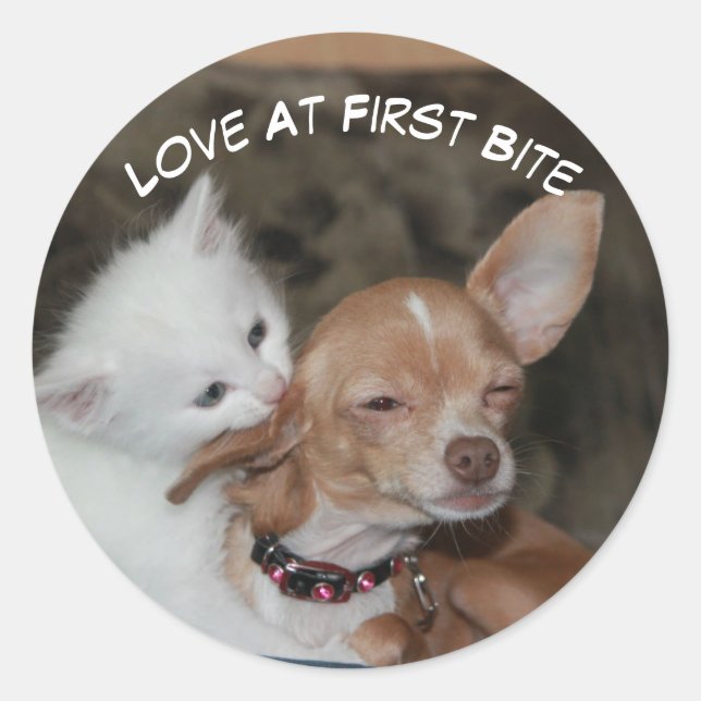 Rond Aimer Bite Kitty Et Sticker De Chiot (Devant)
