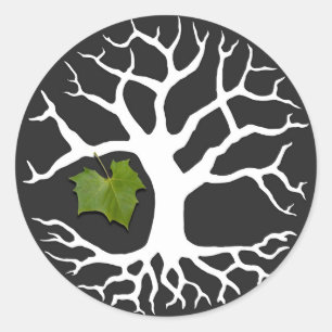 Rond Arbre de vie avec Sticker à feuilles Sycamore