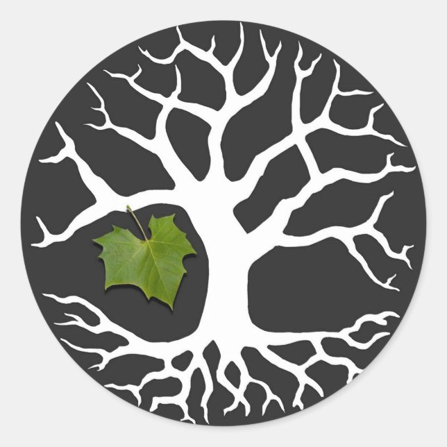 Rond Arbre de vie avec Sticker à feuilles Sycamore (Devant)
