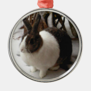 Rond Argenté Ornement de lapin
