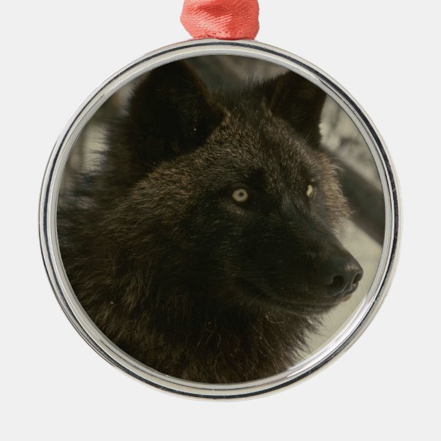 Rond Argenté Ornement noir de Noël de loup (Devant)