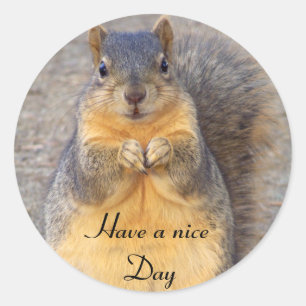 Rond Ayez un joli Sticker Day_