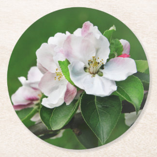 Rond Beau Dessous de verre de printemps de pommiers flo