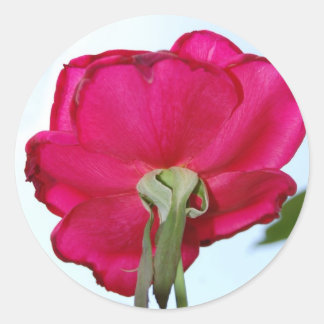 Rond Beau Sticker Flower
