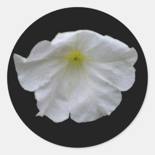 Rond Beau Sticker Petunia Blanc