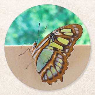 Rond Beaux Dessous de verre de la planche à papillon