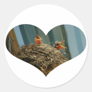 Rond Bébé Robins Coeur Sticker