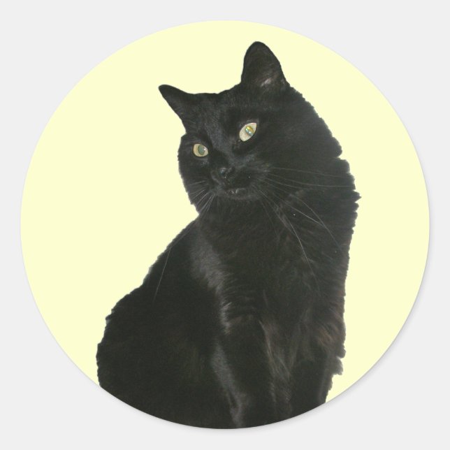 Rond Chat noir avec Sticker pour yeux dorés (Devant)