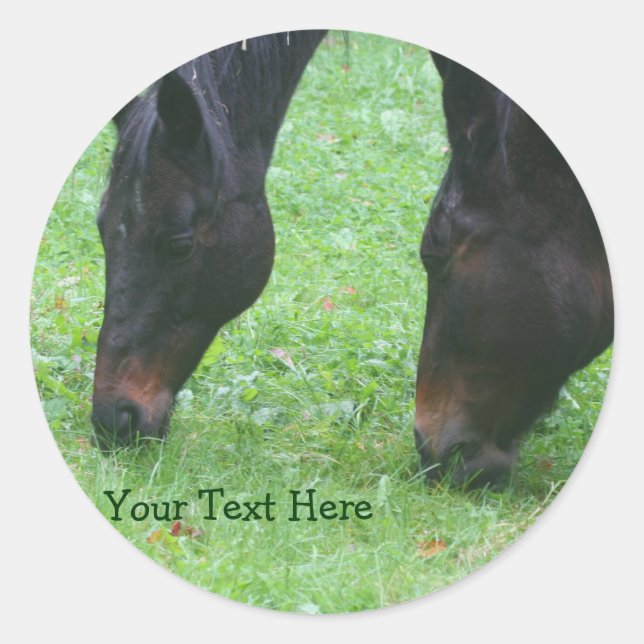 Rond Cheval Amis Pâturage Ensemble Animal Sticker (Devant)