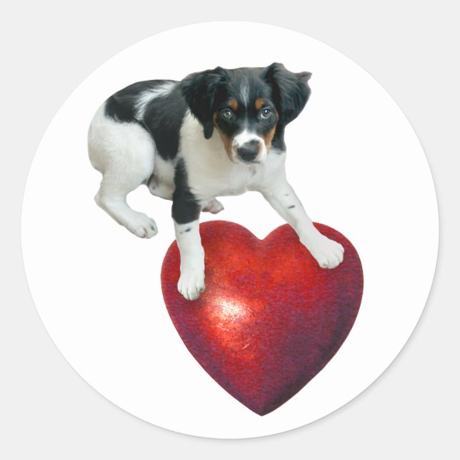 Rond Chiot avec Sticker de Coeur Rouge (Devant)
