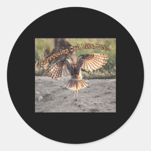 Rond Chouette en torrillage Left Off Sticker