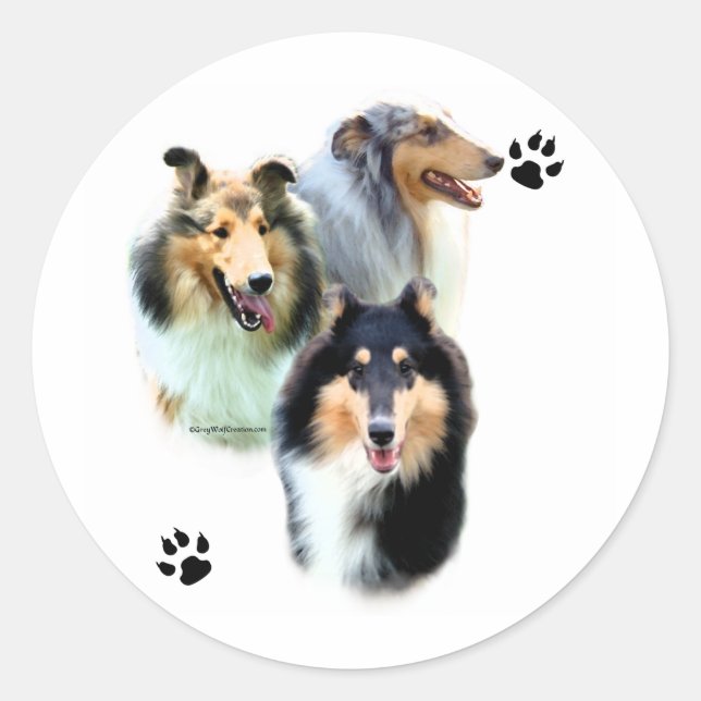 Rond Collie Trio - Sticker (Devant)