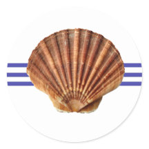 Coquillage nautique - Sticker circulaire
