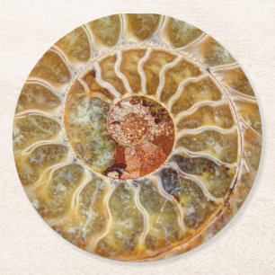 Rond Dessous de verre de fossile d'ammonite