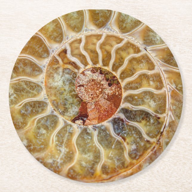 Rond Dessous de verre de fossile d'ammonite (Devant)